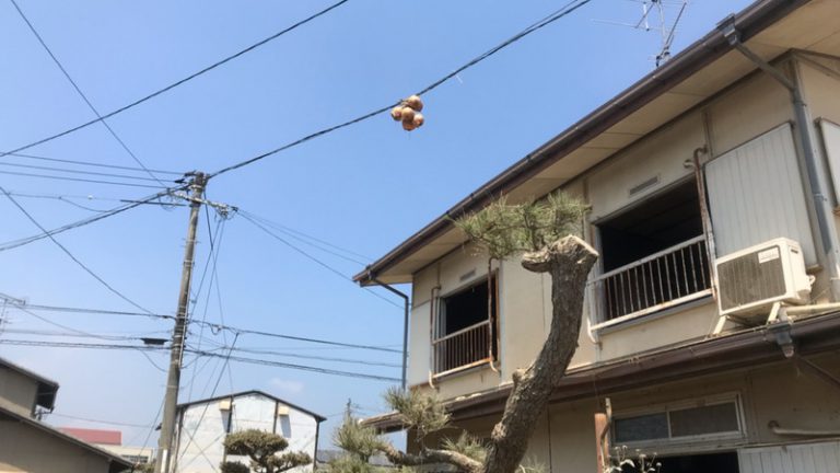 西日本豪雨から、もうすぐ１年、防災の準備は大丈夫ですか？