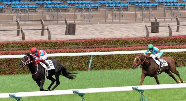 競走馬も騎手も血統が大切、経営とマラソンには何が大切？