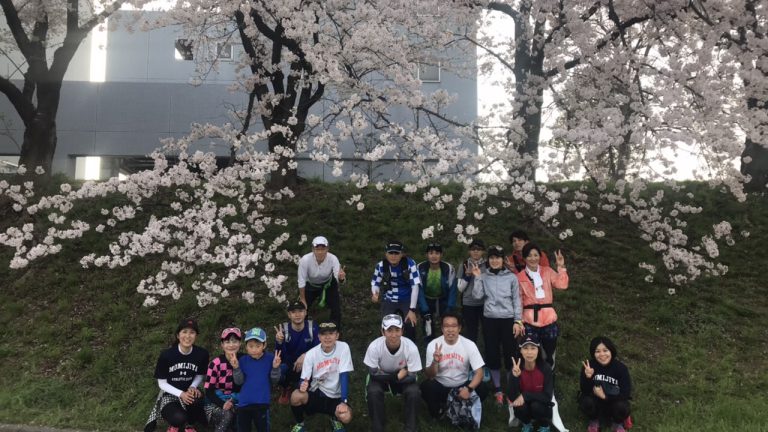 河津桜は満開、今年の花見ランは？