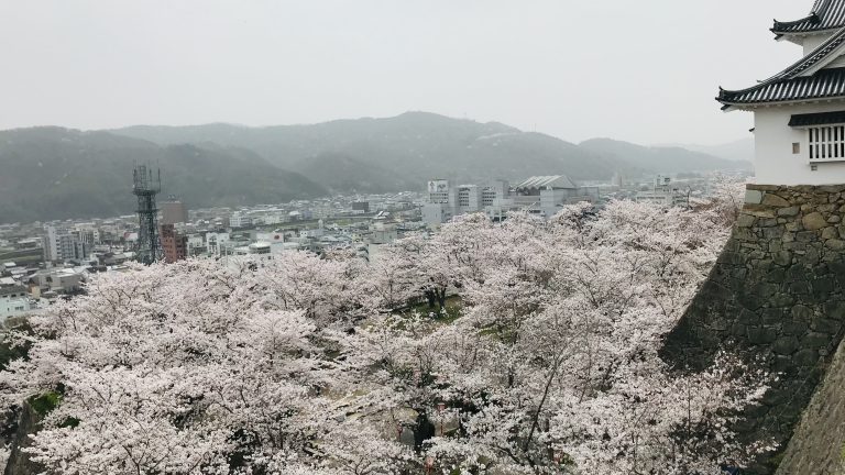 定休日に鶴山公園へ花見、ランニングで行くなら、ここも行ってみたいかも、、