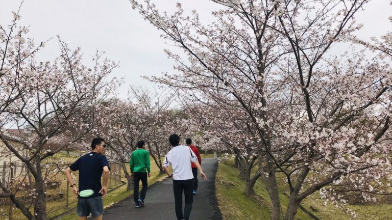 雨の合間にプチ花見ラン、ランニングクラブ練習会で酒抜いてから仕事へ