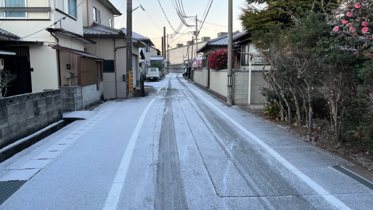 雪の朝、JRは計画運休、ぼくは計画ラン休のはずが、、