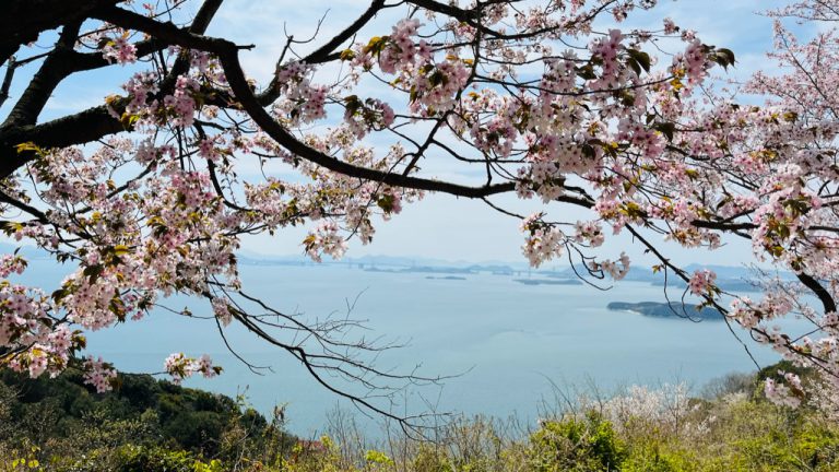 年に１度の純粋な花見に行ってきました！