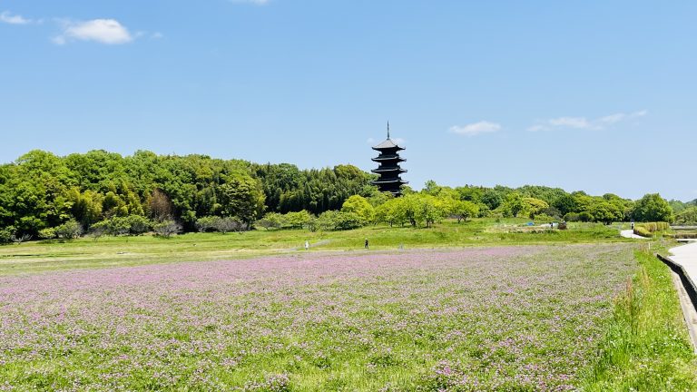 多くの人は連休の谷間、自分は連働の谷間、谷間は好きですか？笑