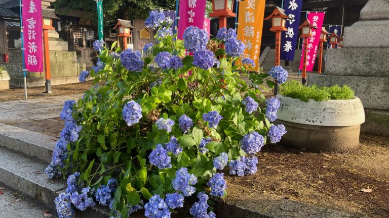 わかりやすい雨で2日連続のレスト