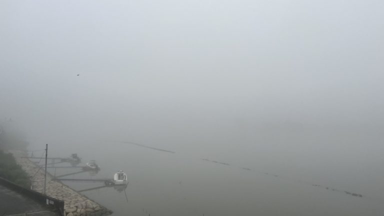 五里霧中１０キロラン
