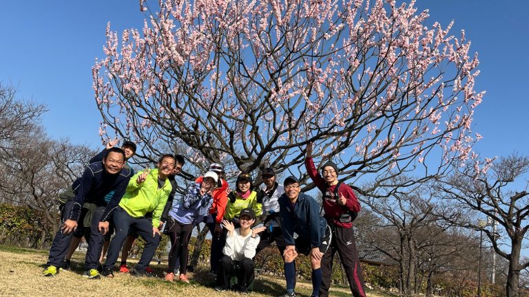 ラジオ体操取材からのモミジヤAC梅見ラン練習会