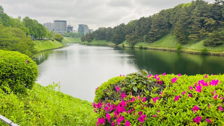 弾丸東京出張ですが、取り敢えず、朝走ってから帰ります