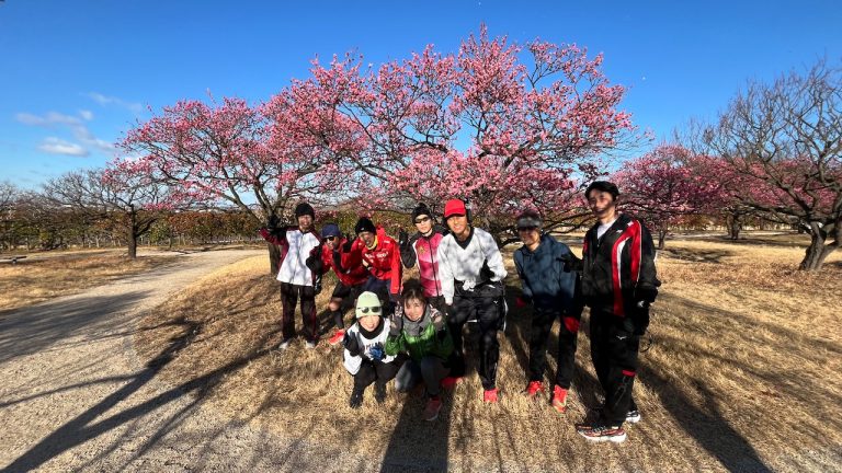 今週のモミジヤAC練習会は梅見ラン